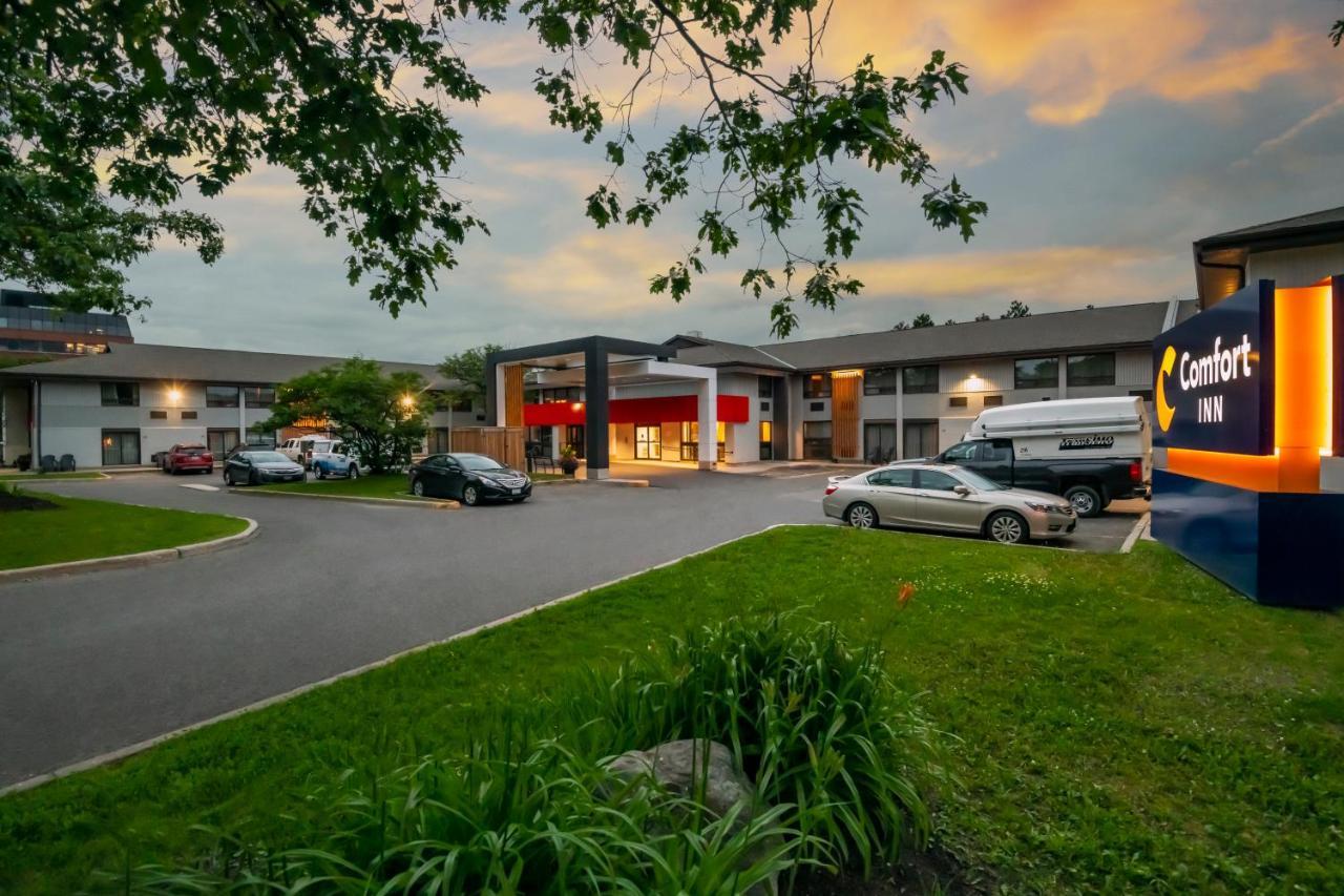 Inn Comfort West 3*